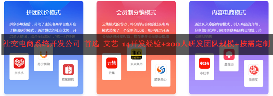 社交电商系统开发公司-艾艺.png